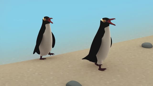 S01:E36 - Yellow Eyed Penguin
