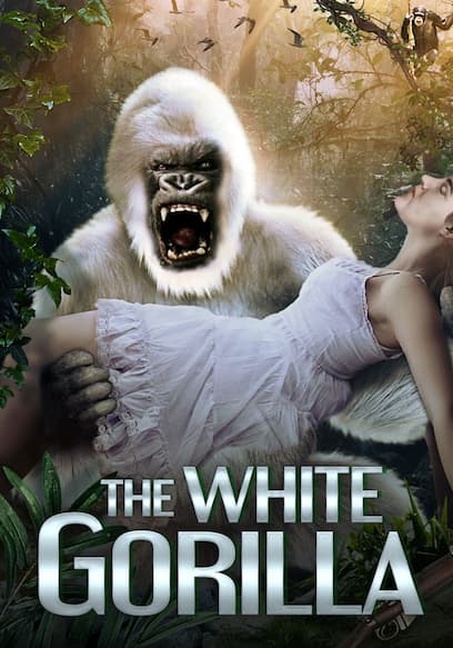 White Gorilla
