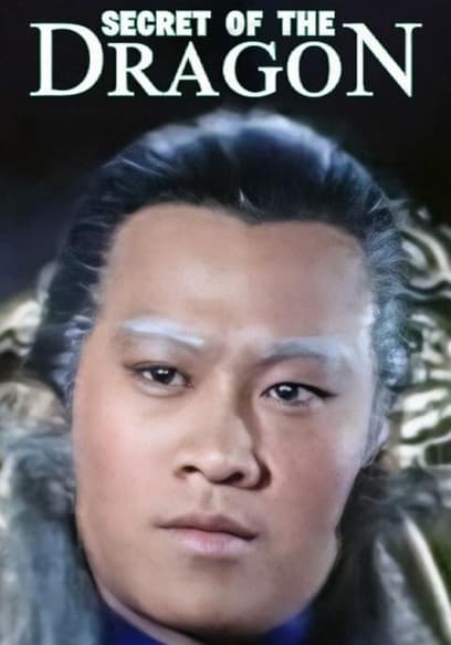 Secret of the Dragon (Dubbed)