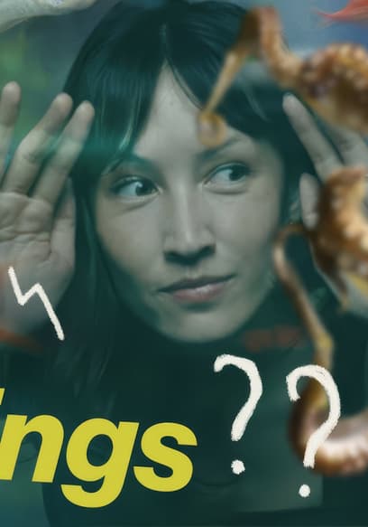 S01:E04 - Which Animals Are Sentient? poster