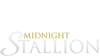 Midnight Stallion