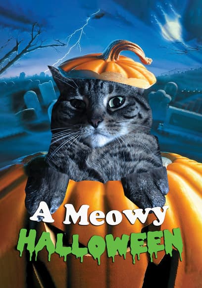 A Meowy Halloween