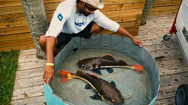 S01:E11 - Moving the Giant Catfish