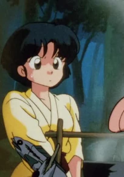 S02:E06 - The Breaking Point!? Ryoga's Great Revenge poster