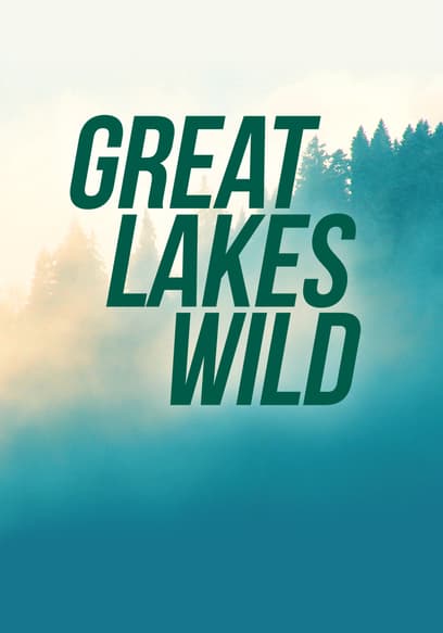Great Lakes Wild poster