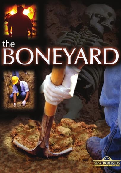 The Boneyard