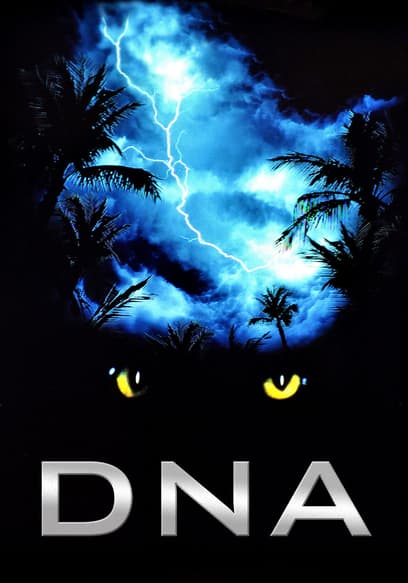 DNA