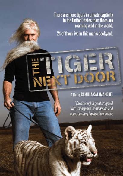 The Tiger Next Door