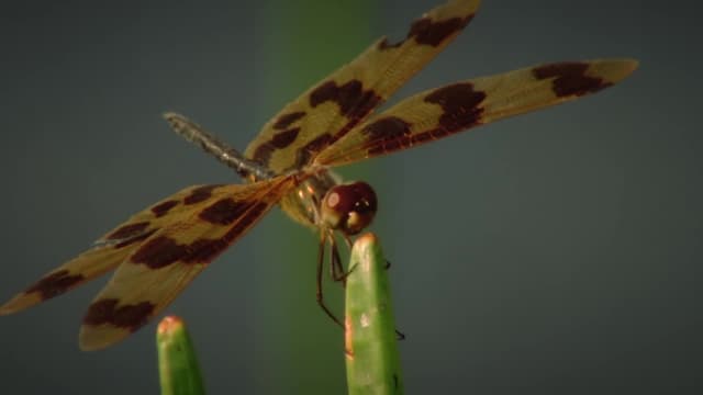 S01:E03 - Defying Gravity