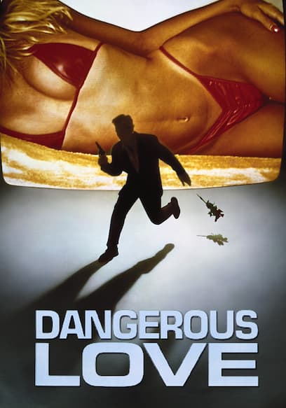 Dangerous Love poster