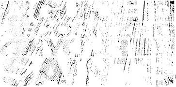 A Guide to Recognizing Your Saints