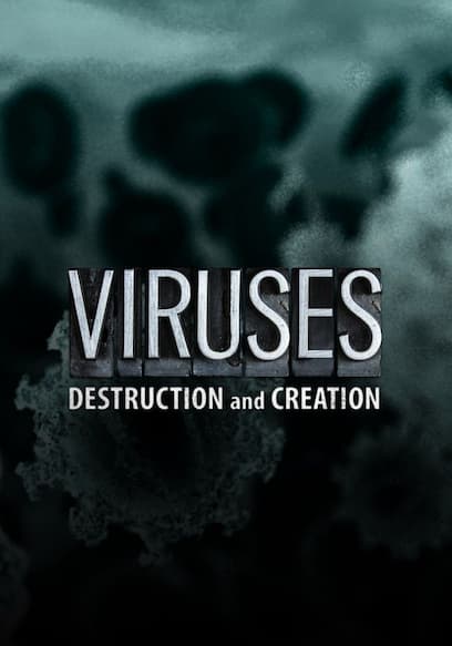 Viruses: Destruction and Creation