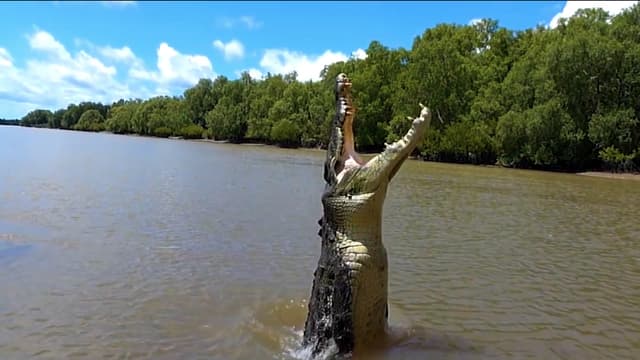 T01:C13 - S01:E13 - Staying Alive: Facing Nature's Deadliest Dangers