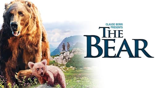 Watch The Bear (1988) - Free Movies | Tubi