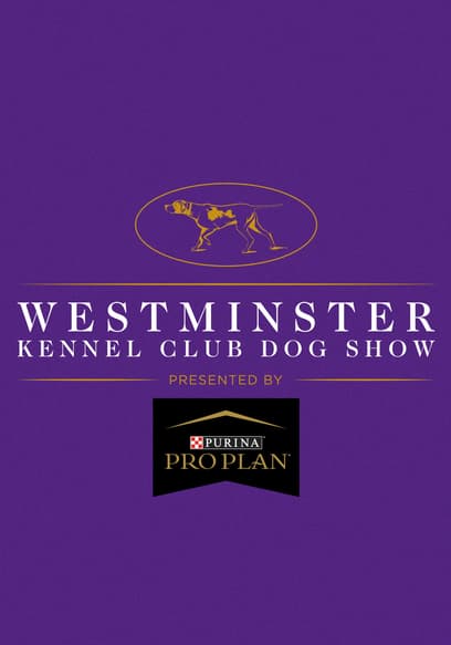 The Westminster Kennel Club Dog Show