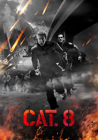 CAT 8