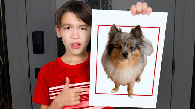 S01:E11 - My Puppy Is Secretly Missing From My House!