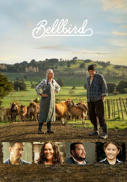 Bellbird