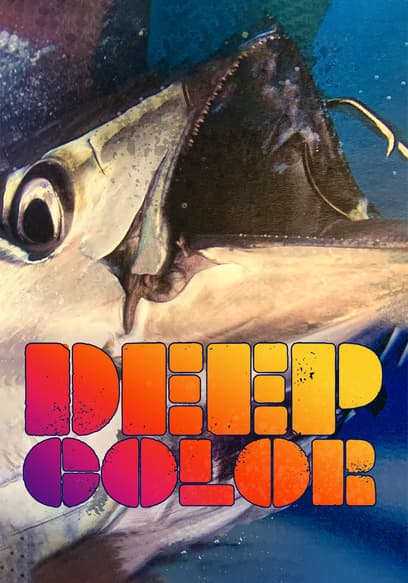 Deep Color poster