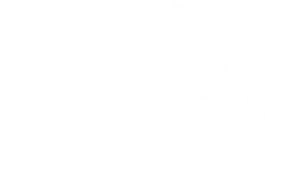 Scott Pilgrim vs. the World