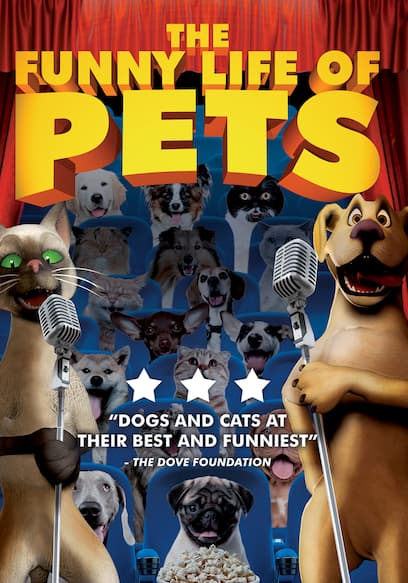 The Funny Life of Pets