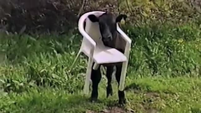 S06:E18 - Episode 18