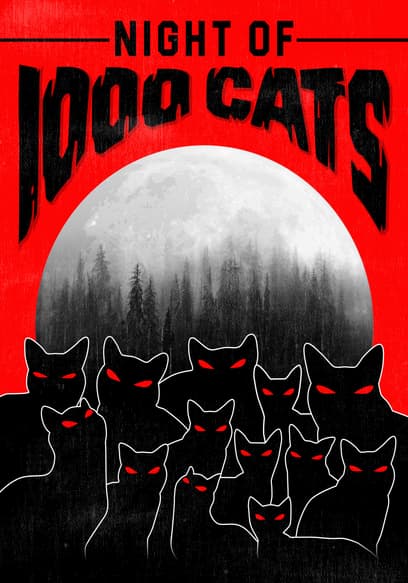 Night of 1000 Cats