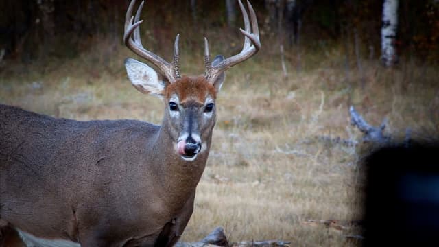 S12:E21 - Our Family Whitetail Stand