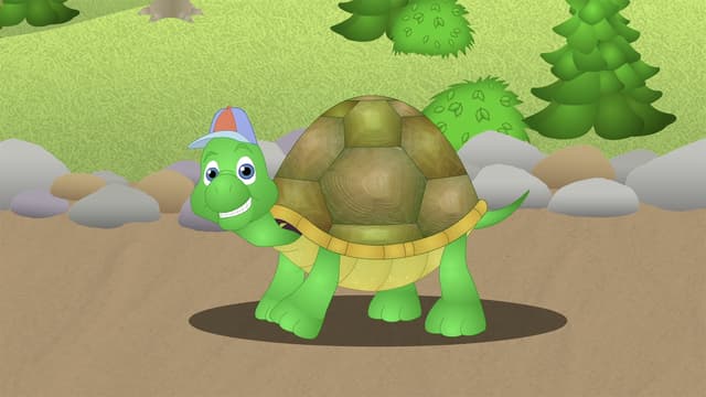 S02:E215 - Turtle