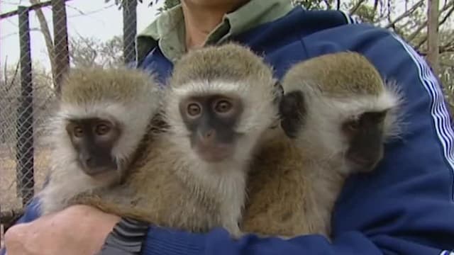 S01:E11 - Episode 11