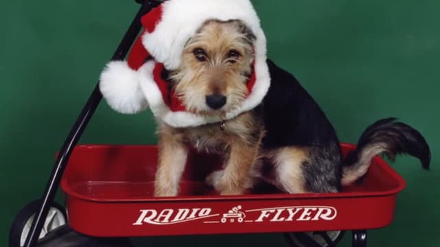 S02:É07 - S02:E07 - Evil Queen