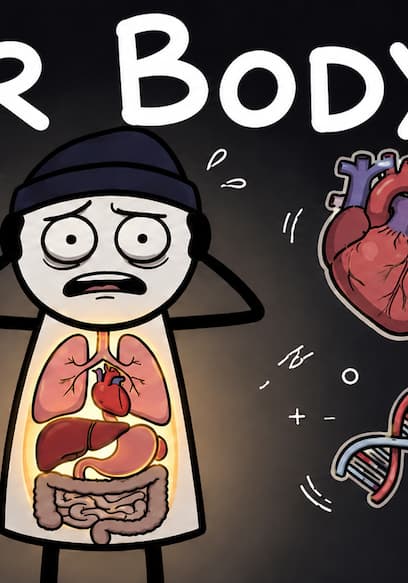Póster de S01:E02 -  The Entire Human Body Explained in 20 Minutes, i guess