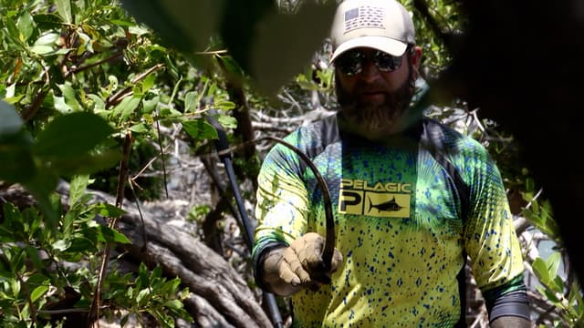 S01:E05 - Iguana & Coconuts