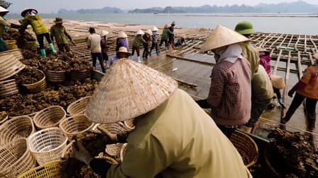 Best Ever Food Review Show