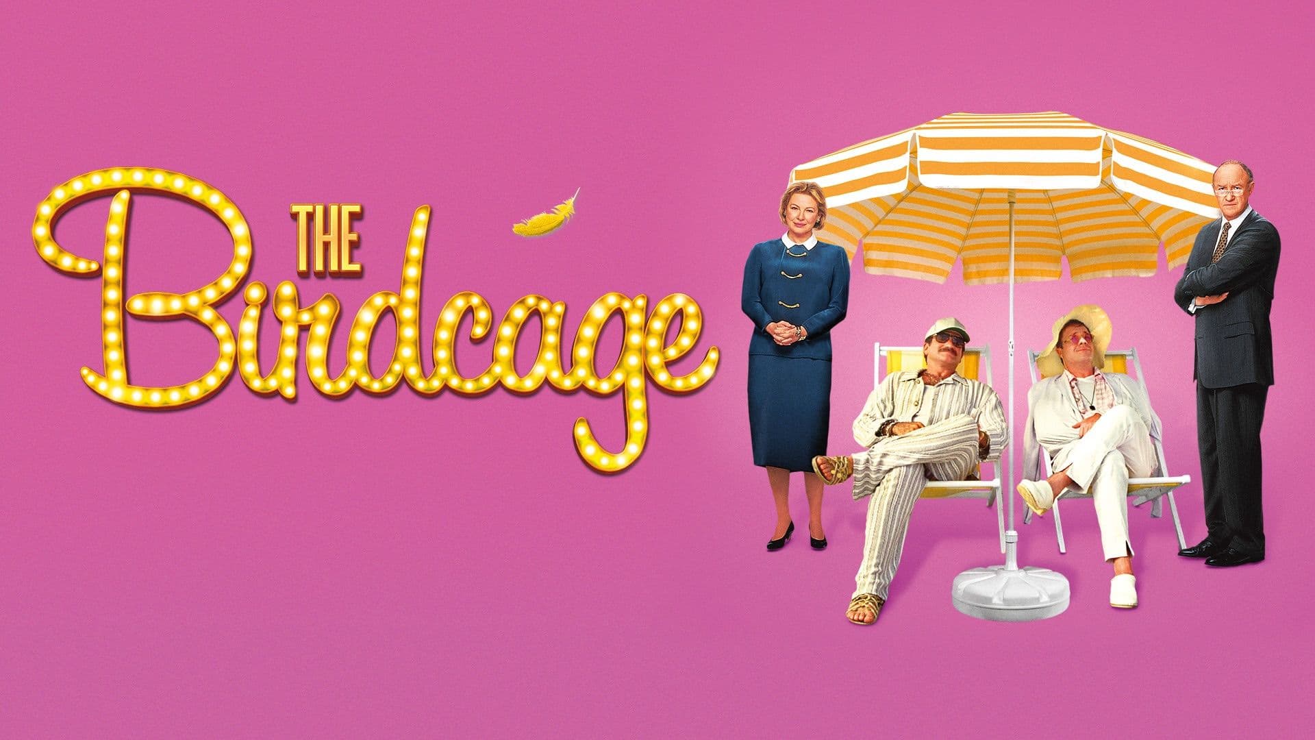 The Birdcage (1996) poster