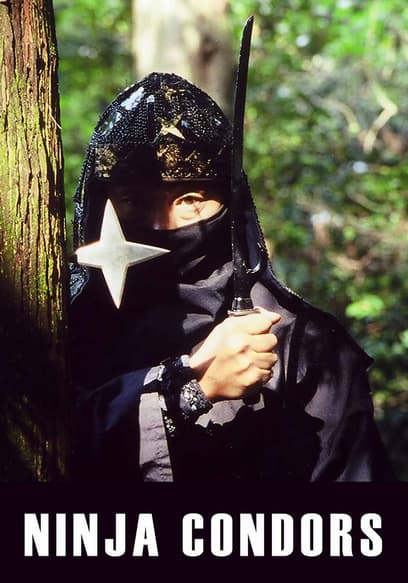 Ninja Condors 13