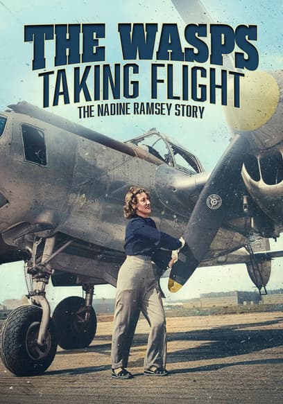 The WASPS: Taking Flight poster