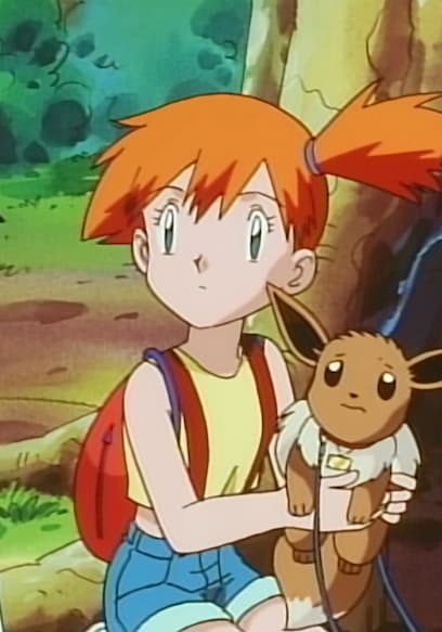 S01:E37 - The Battling Eevee Brothers poster