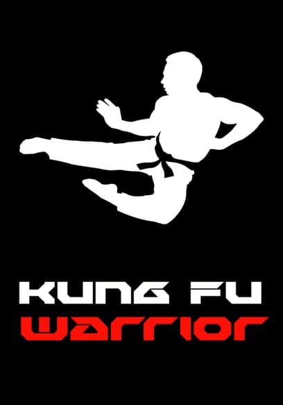 Kung Fu Warrior