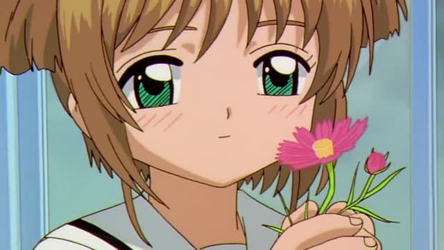 Watch Cardcaptor Sakura S01:E24 - Sakura's Little Adventure - Free TV ...