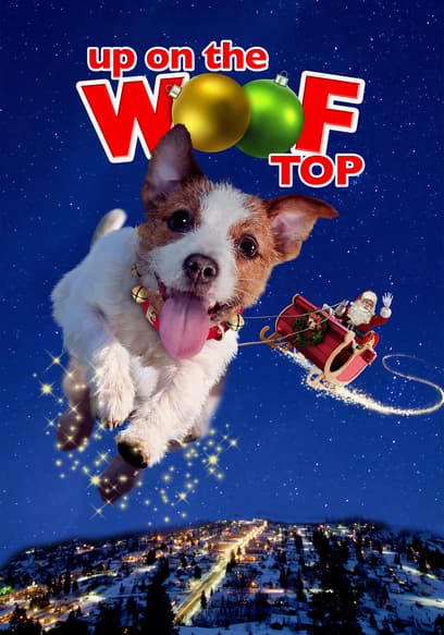 Up on the Wooftop