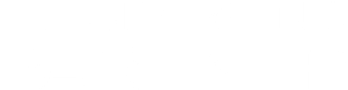 The Sparring Partner