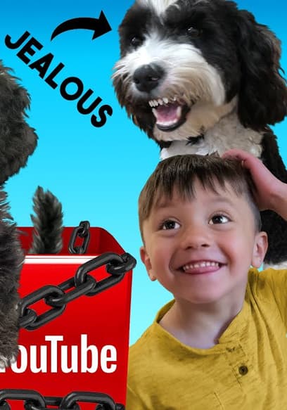 S04:E22 - Surprise & Shock poster