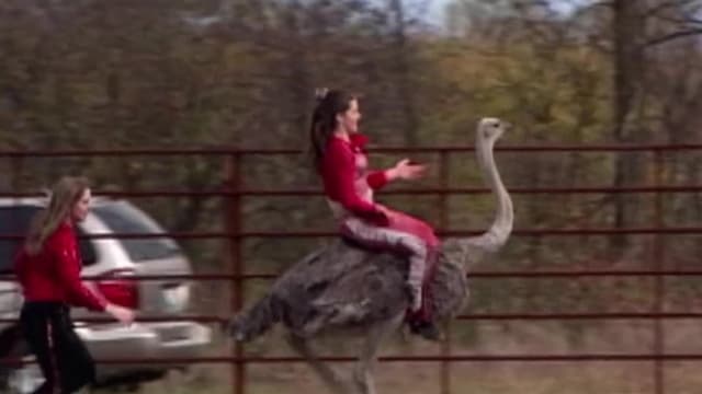 S07:E16 - Episode 16