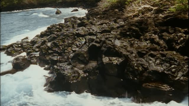 S01:E17 - Criaturas bizarras (Pt. 1)