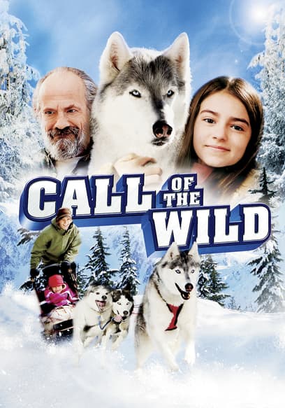 Call of the Wild poster