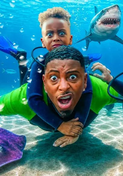 S20:E22 - Swimming With Sharks poster