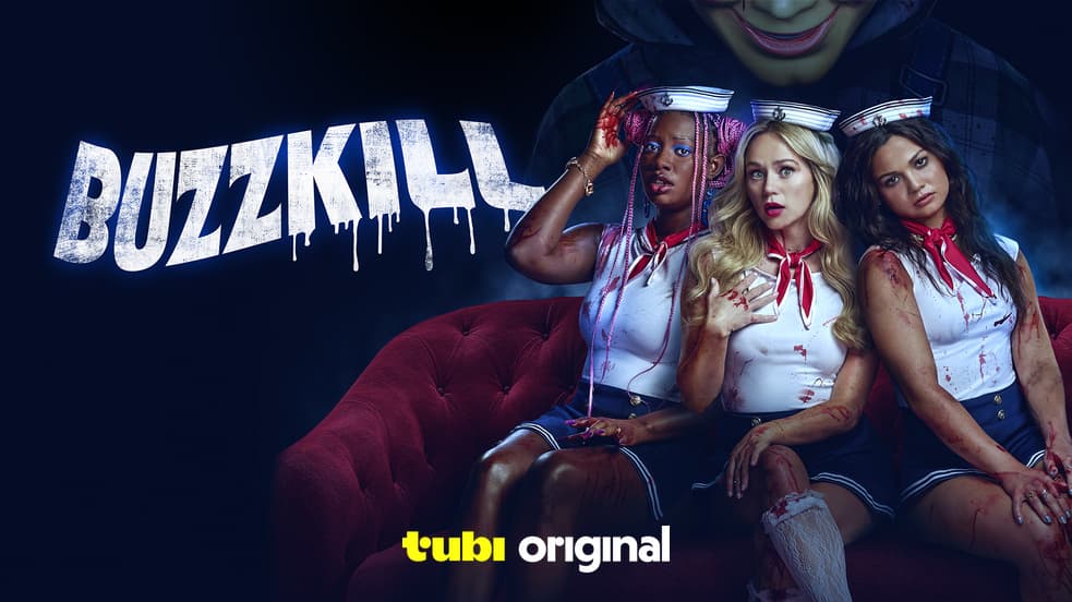 Buzzkill provider artwork
