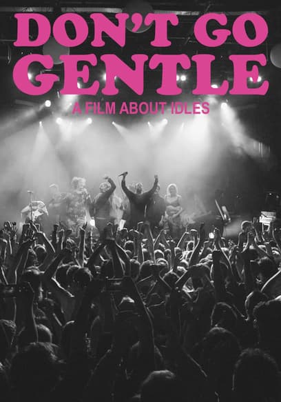 Don't Go Gentle: A Film About IDLES