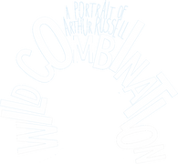 Wild Combination: A Portrait of Arthur Russell